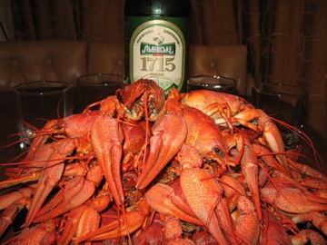 ���� �������