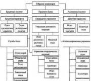 Анализ организационной структуры управления и пути ее совершенствования на примере оао 